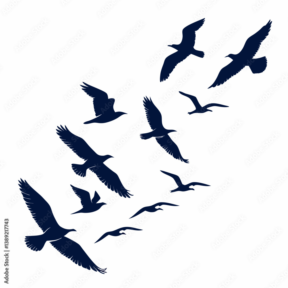 Fototapeta premium Bird Silhouettes Vector – Minimalist Flying and Perching Bird Icons