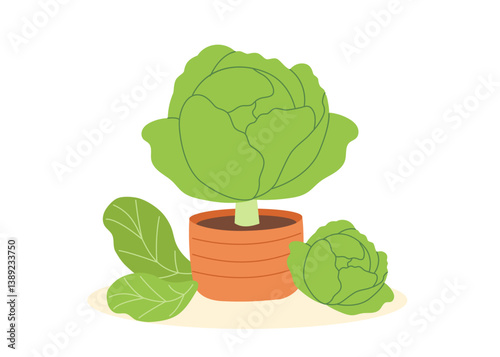 Cabbage in the pot isolated on white background. Gardening, harvest and food concept. Vector hand drawn clipart.