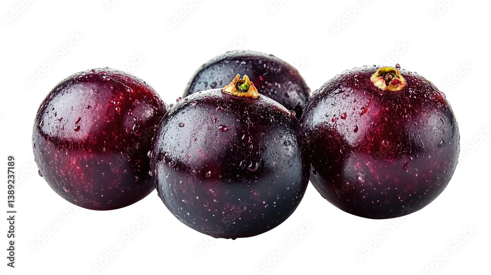 Obraz premium You've reached our limit of messages per hour Please try again later