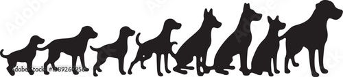 Dog Silhouette Bundle with Humans
