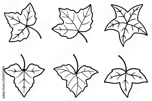 Ivy Leaf Line Art Detailed Sketch for Greenery Illustration Project 