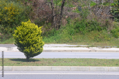 A section of an asphalt road with a curb stone and a lawn, minimalism, urbanism, 26