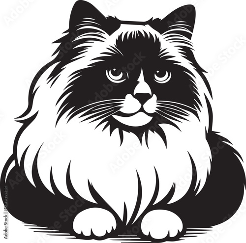 Black and White Ragdoll Cat Vector