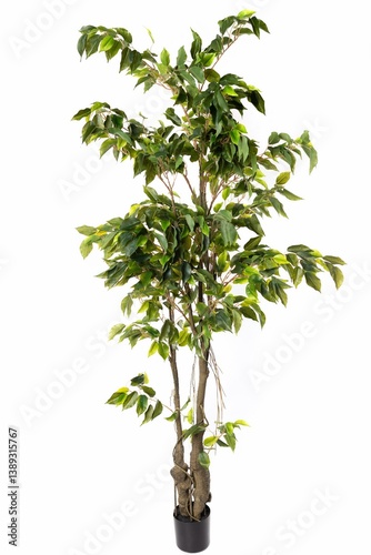 Obraz na płótnie Lifelike artificial tree with green leaves placed in a black pot in indoor environment for home decor enhancement w salonie