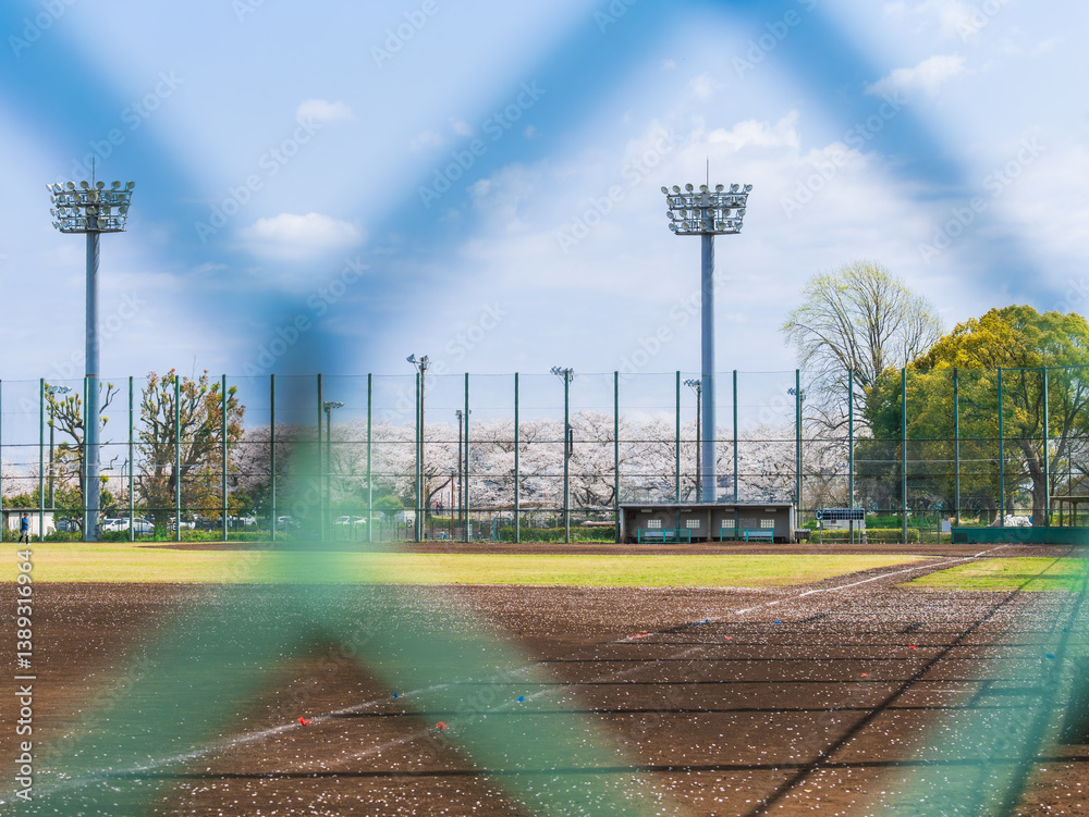 野球・ベースボール・桜 イメージ