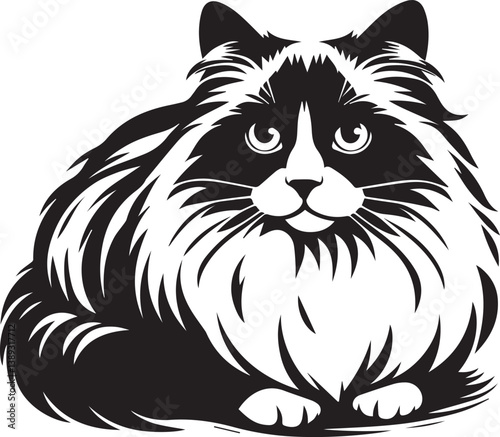 Black and White Ragdoll Cat Vector