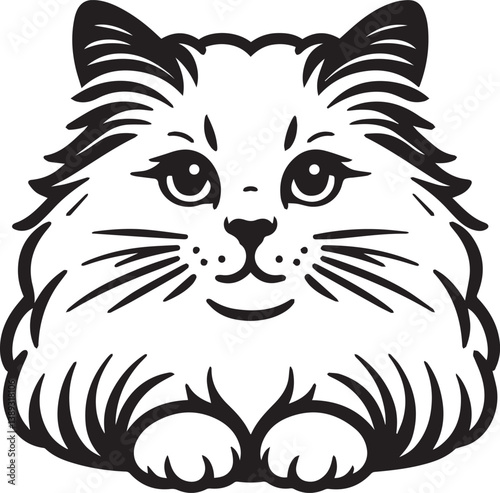Black and White Ragdoll Cat Vector