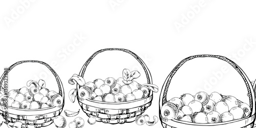 Cranberry lingonberry with leaves in weaved basket, vector hand drawn in ink, scattered ripe picked forest berry harvest. Isolated seamless banner. Restaurant, cafe menu, recipe book, farmers market