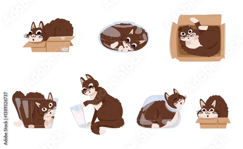 Cute funny cat inside of cardboard boxes and glass jars, pushing glass flat vector illustrations set isolated on white.
