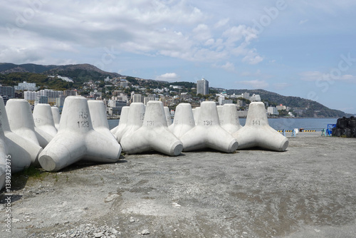 Unplaced tetrapods