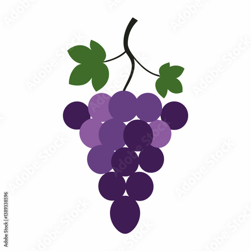 Elegant grapes vector illustration with fresh, clean lines, ideal for food industry use.