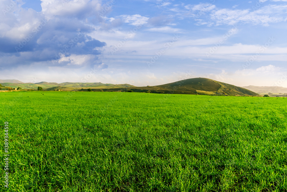 green landscape of spring field with green young grass and amazing hills on background green landscape of spring field with green young grass and amazing hills on background