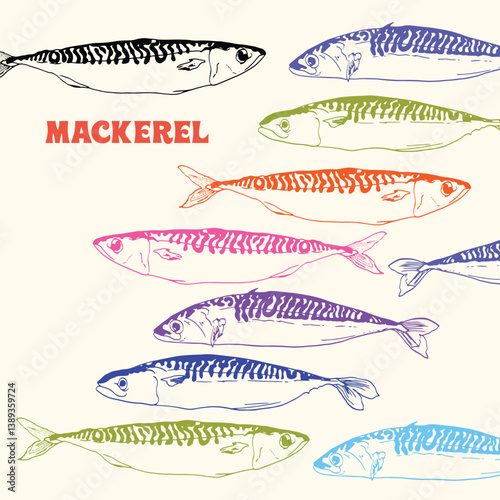 Colorful Hand-Drawn Mackerel Fish – Vintage Seafood Illustration