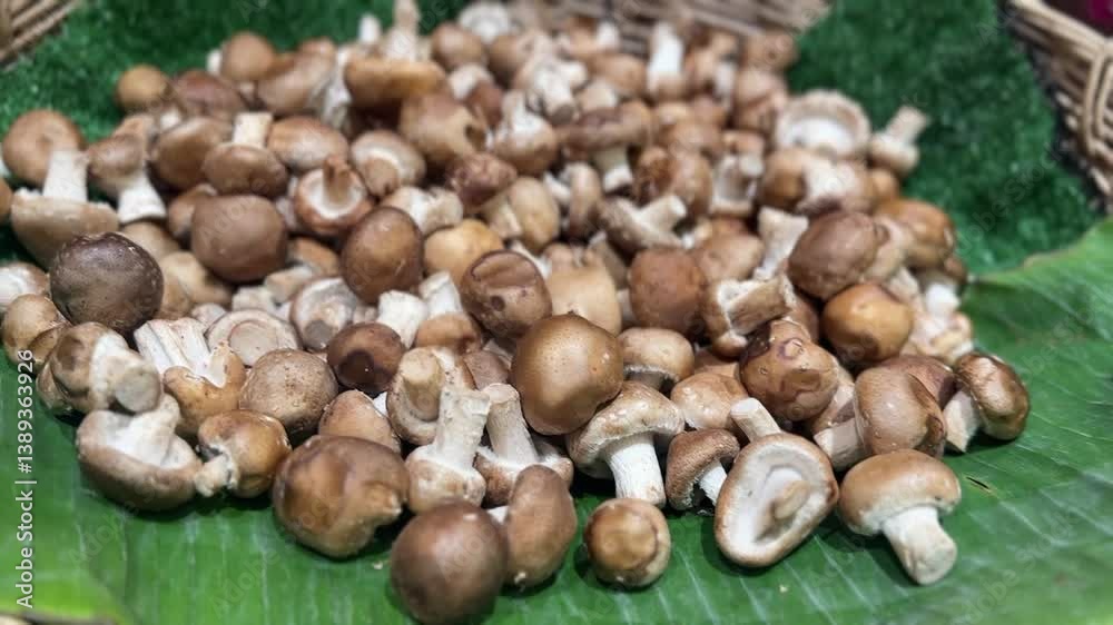 Fresh shiitake mushroom in close-up with detailed cap texture and earthy brown color
Fresh shiitake mushroom in close-up with detailed cap texture and earthy brown color