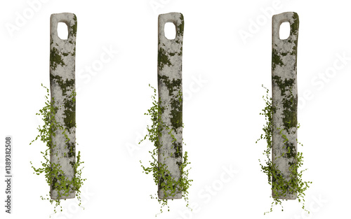 Schilderij op canvas Three weathered stone pillars adorned with overgrown foliage