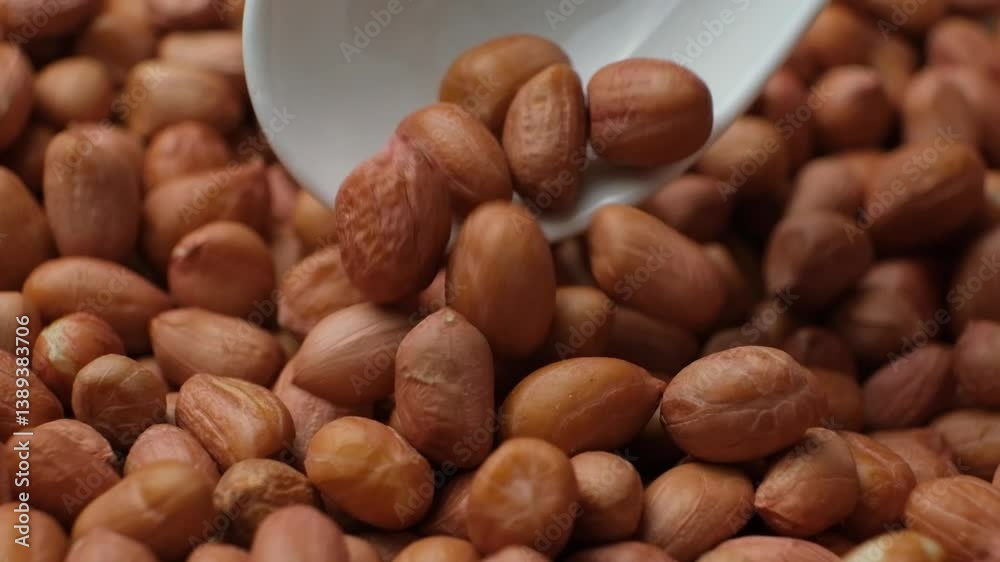 Raw peanut kernels in brown peel in a spoon close-up. Raw peanut kernels in brown peel in a spoon close-up.
