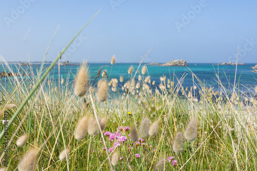 Quadro su tela Paysage breton