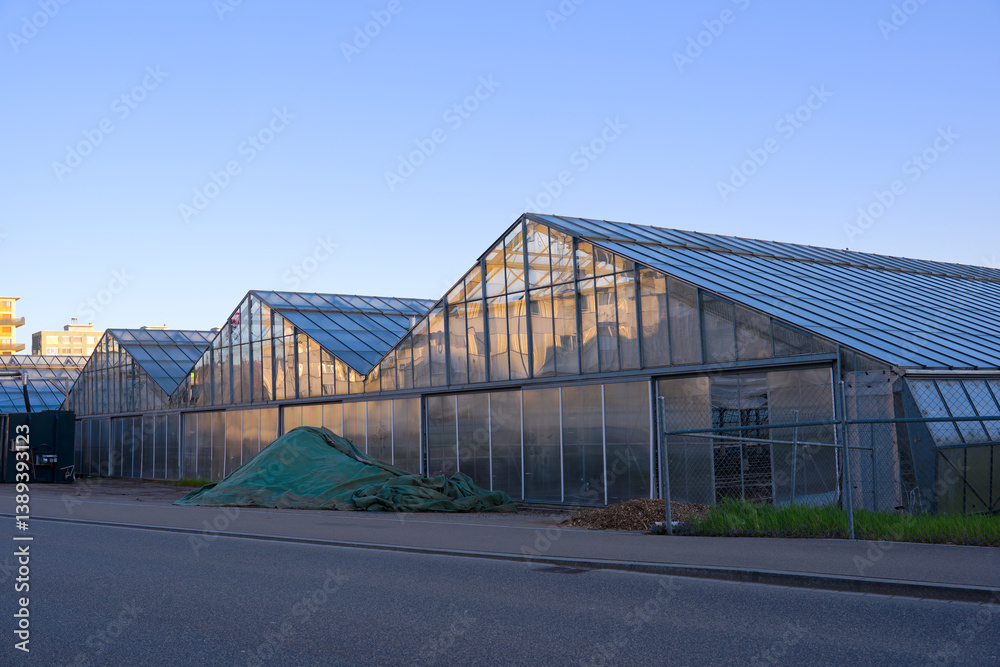 Fototapeta premium Scenic view of greenhouses at Swiss City of Zürich on a sunny spring morning. Photo taken April 7th, 2025, Zurich Dübendorf, Switzerland.
