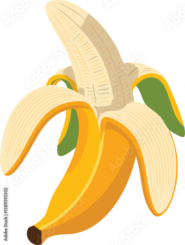 Banana vector