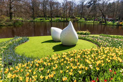 Keukenhof park in Netherlands. Flower bed of colourful flowers in spring