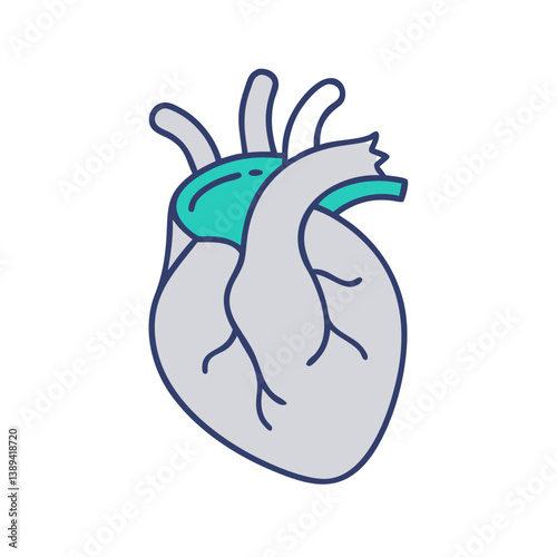 Flat minimal icon of a human heart, representing cardiovascular health, anatomy, medical treatment, and biological study, used in healthcare, cardiology, or scientific and educational visuals