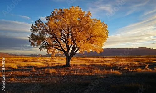 Majestic golden tree standing alone in a vast field at sunset, with mountains in the background