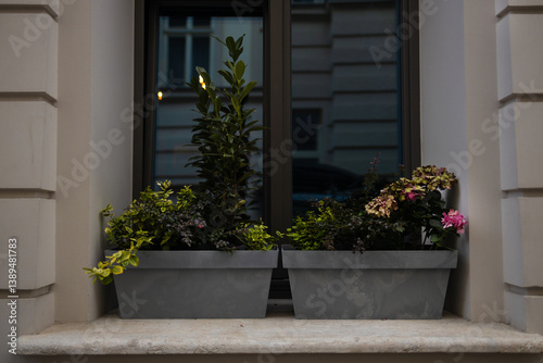 Obraz na płótnie Close-up of a window with two flower boxes placed on the windowsill, featuring various plants and flowers that add a touch of greenery w salonie