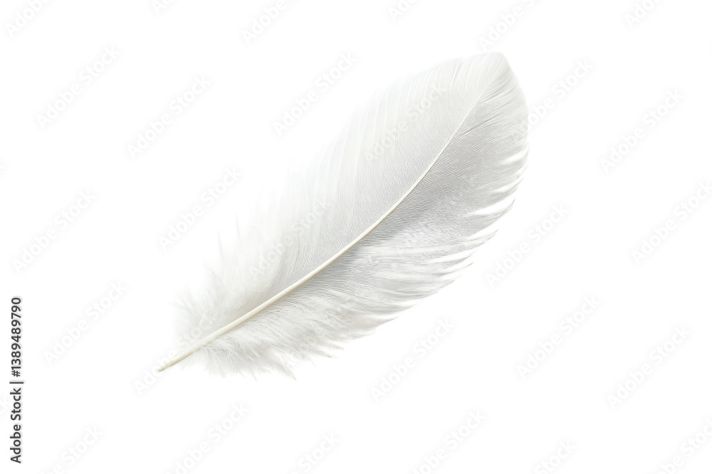 Delicate white feather against a soft grey background showcasing intricate detail and subtle texture Delicate white feather against a soft grey background showcasing intricate detail and subtle texture