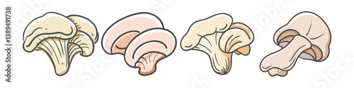 oyster mushroom (1) icon, oyster mushroom (1) vector illustration-simple illustration of oyster mushroom (1), perfect for oyster mushroom (1) logos and icons