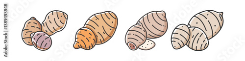 taro root icon, taro root vector illustration-simple illustration of taro root, perfect for taro root logos and icons