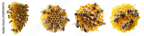 Set of bees on a honeycomb, isolated on a transparent background