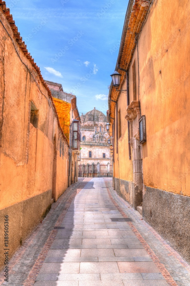 Obraz premium Street view to Zamora Cathedral Spain bright and colourful