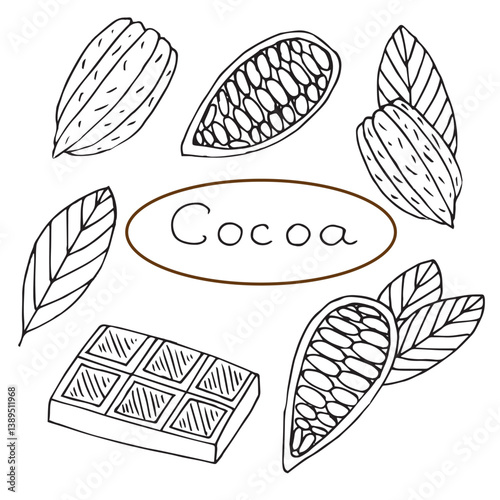 Cocoa beans doodle set, hand drawing, vector illustration