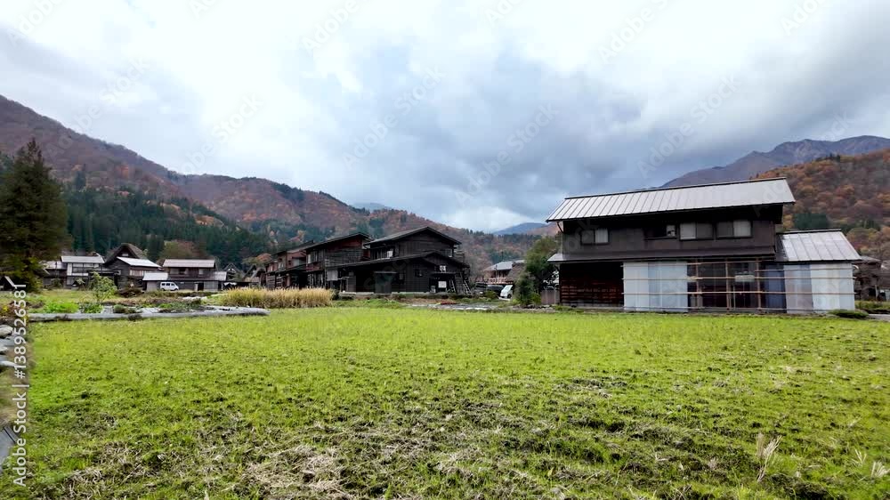Gassho style farmhouses in Shirakawa go, Japan, surrounded by colorful autumn foliage, create a picturesque scene