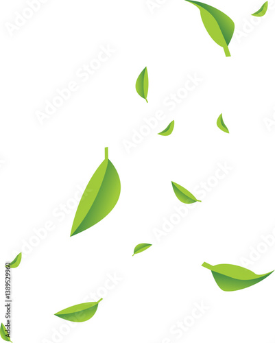 Flying Leaves Illustration