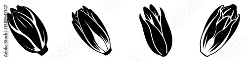 endive icon, endive silhouette vector illustration-simple silhouette illustration of endive, perfect for endive logos and icons