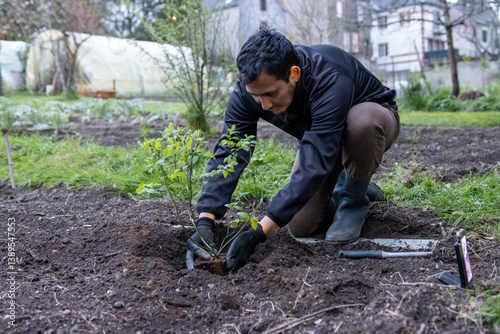 Hombre sembrando en una huerta ecológica