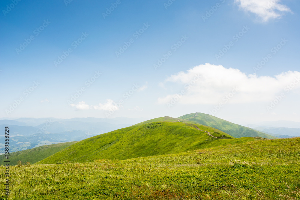 Obraz premium carpathian mountain landscape of ukraine in summer. panoramic highland. wonderful nature scenery of alpine grassy meadow and green hills on a sunny day under blue sky. popular travel destination