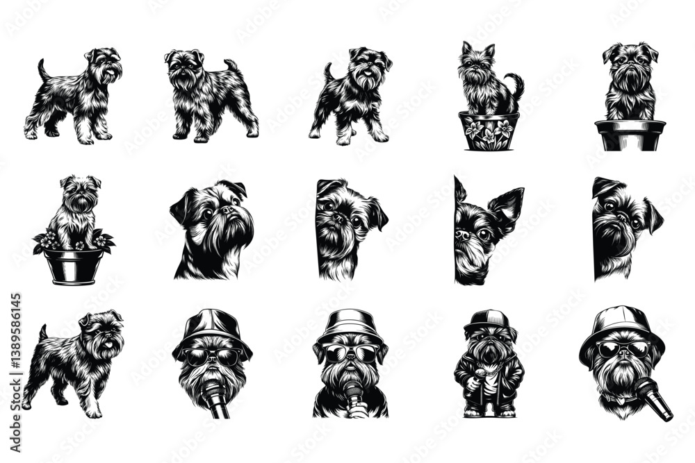 Obraz premium Brussels Griffon Dog