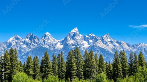 Majestic snow-capped mountains rise above a dense forest under a clear blue sky
