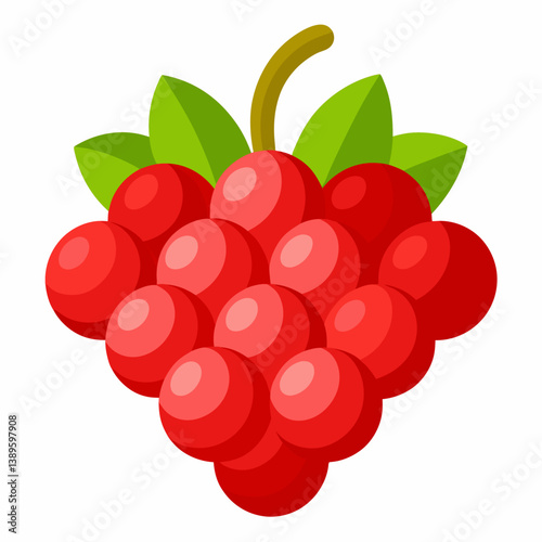 vector illustration of ripe red berries