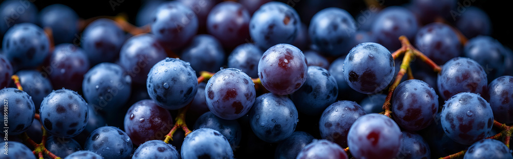 custom made wallpaper toronto digitalHarvested blue grapes background. Wet berries. Horizontal layout