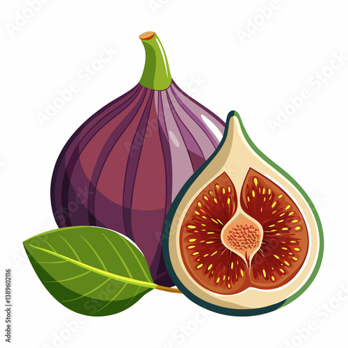 fresh figs isolated on white background