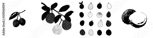 A sketch of litchi, a tropical fruit often used in desserts, featuring a modern lychee, both whole and peeled in half, as an exotic food