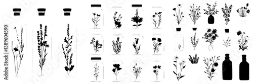 Modern illustration of blooming plants, beautiful blossoms on branches, and nature floret fresh home interior herbs decoration, including cartoon flower bouquets and chamomile sunflower bundles in