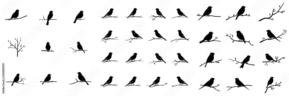 The silhouettes of birds on branches are depicted in a modern illustration featuring a starling, jay, sparrow, and titmouse sitting on a branched tree