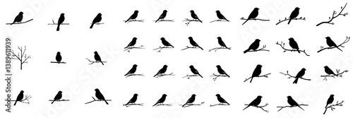 The silhouettes of birds on branches are depicted in a modern illustration featuring a starling, jay, sparrow, and titmouse sitting on a branched tree