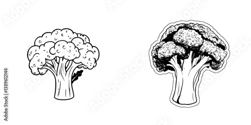 Pak or pok choi, a type of Chinese cabbage, refers to fresh pakchoi cabbage as a modern green Bok choy and isolated vegetarian food