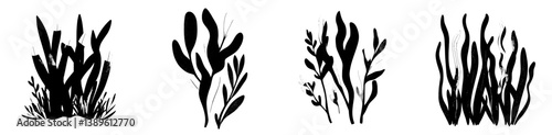 Modern isolated seaweed from a tropical sea, found in aquarium water flora, coral reef undersea algae, or ocean marine plant