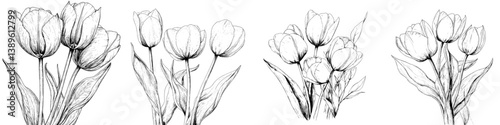 A set of hand-drawn tulip sketches is available, featuring retro vintage botany drawings, ideal for use in invitations, holiday designs, and spring flower arrangements, as part of a modern